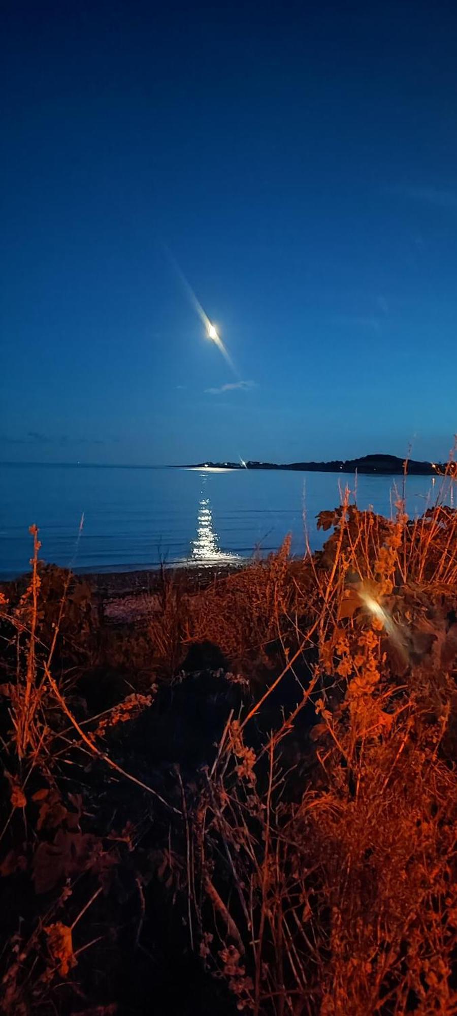 Horse Island View Luxury Retreat Daire Kircubbin Dış mekan fotoğraf